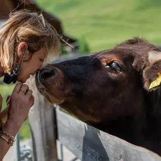 Zusammen mit den Tieren