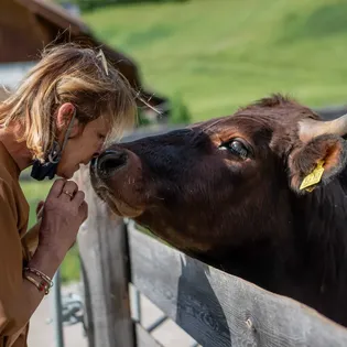 Zusammen mit den Tieren