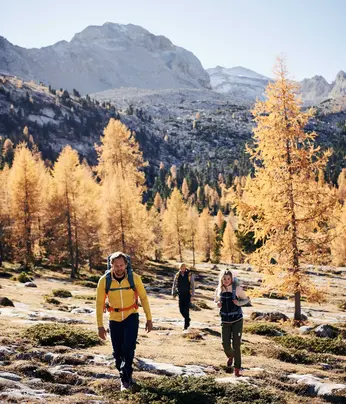 Autunno nell'Alpe di Fanes Dolomiti